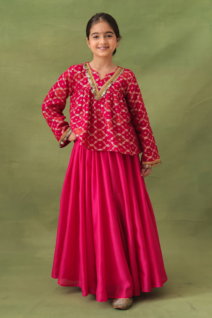 Pink Banarasi Gold Jali Tunic and Chanderi Lehenga Set