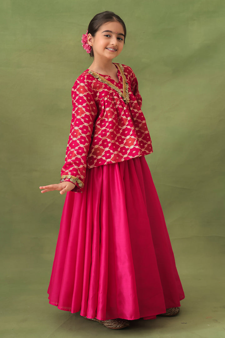 Pink Banarasi Gold Jali Tunic and Chanderi Lehenga Set
