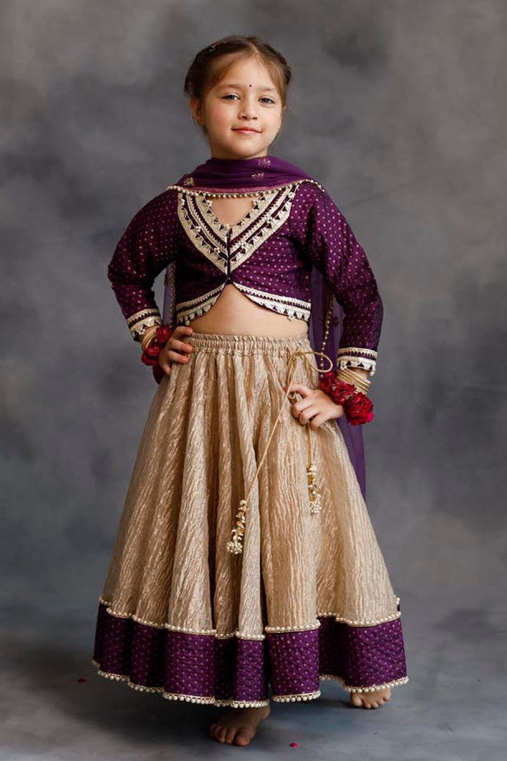 Purple Blouse & Gold Tissue Lehenga Set