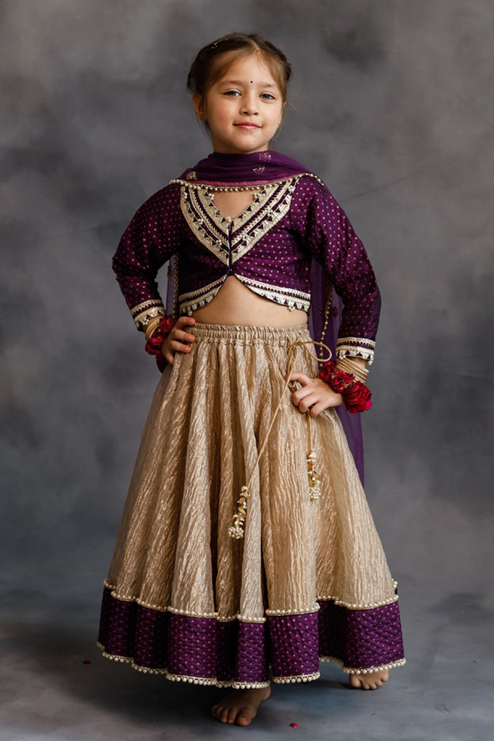 Purple Blouse & Gold Tissue Lehenga Set
