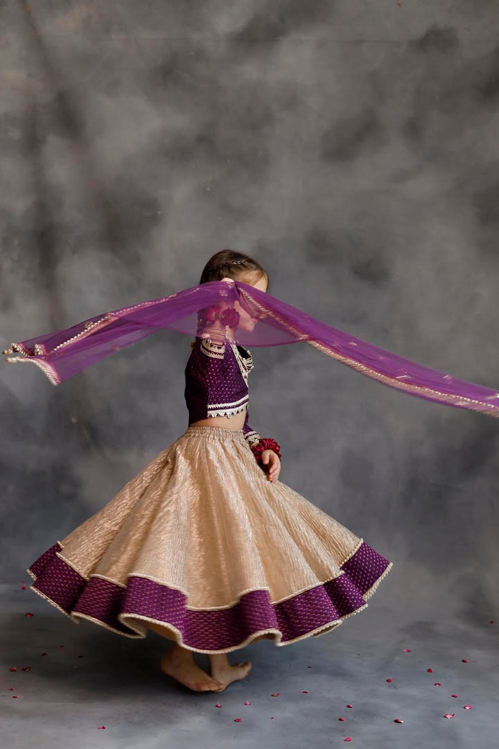 Purple Blouse & Gold Tissue Lehenga Set