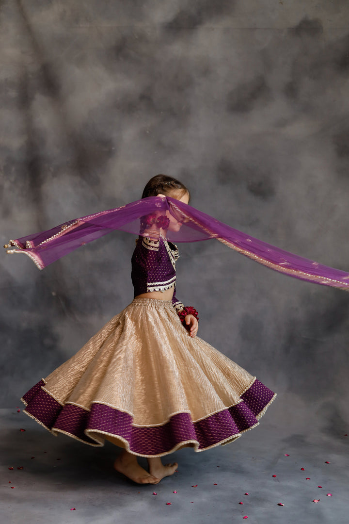 Purple Blouse & Gold Tissue Lehenga Set