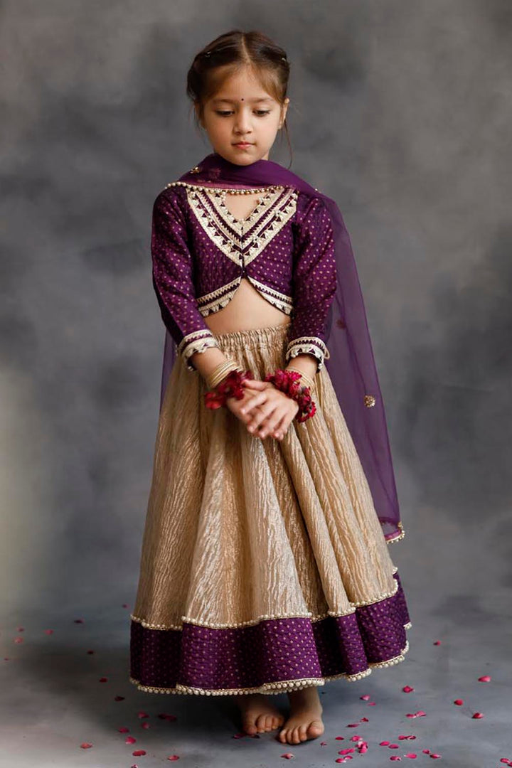 Purple Blouse & Gold Tissue Lehenga Set