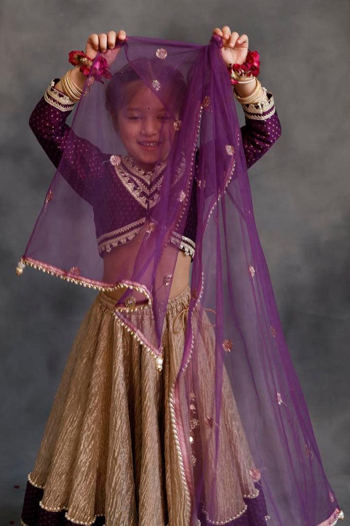 Purple Blouse & Gold Tissue Lehenga Set