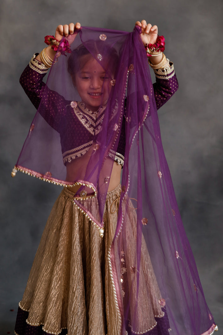 Purple Blouse & Gold Tissue Lehenga Set