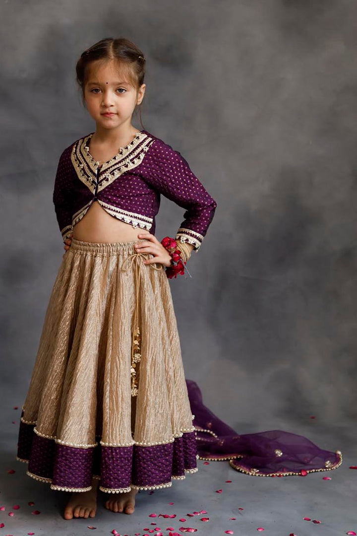 Purple Blouse & Gold Tissue Lehenga Set