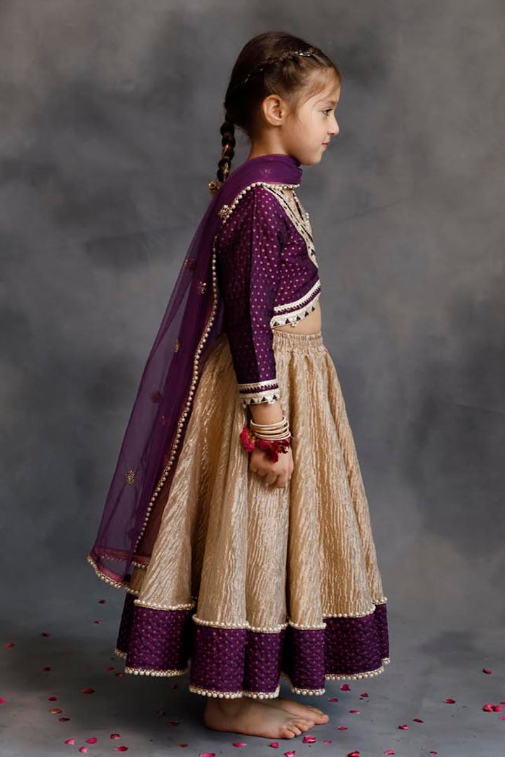 Purple Blouse & Gold Tissue Lehenga Set