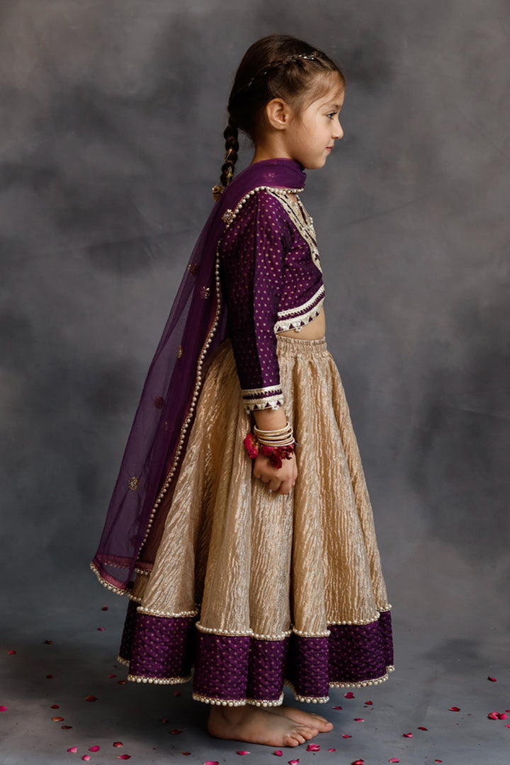 Purple Blouse & Gold Tissue Lehenga Set