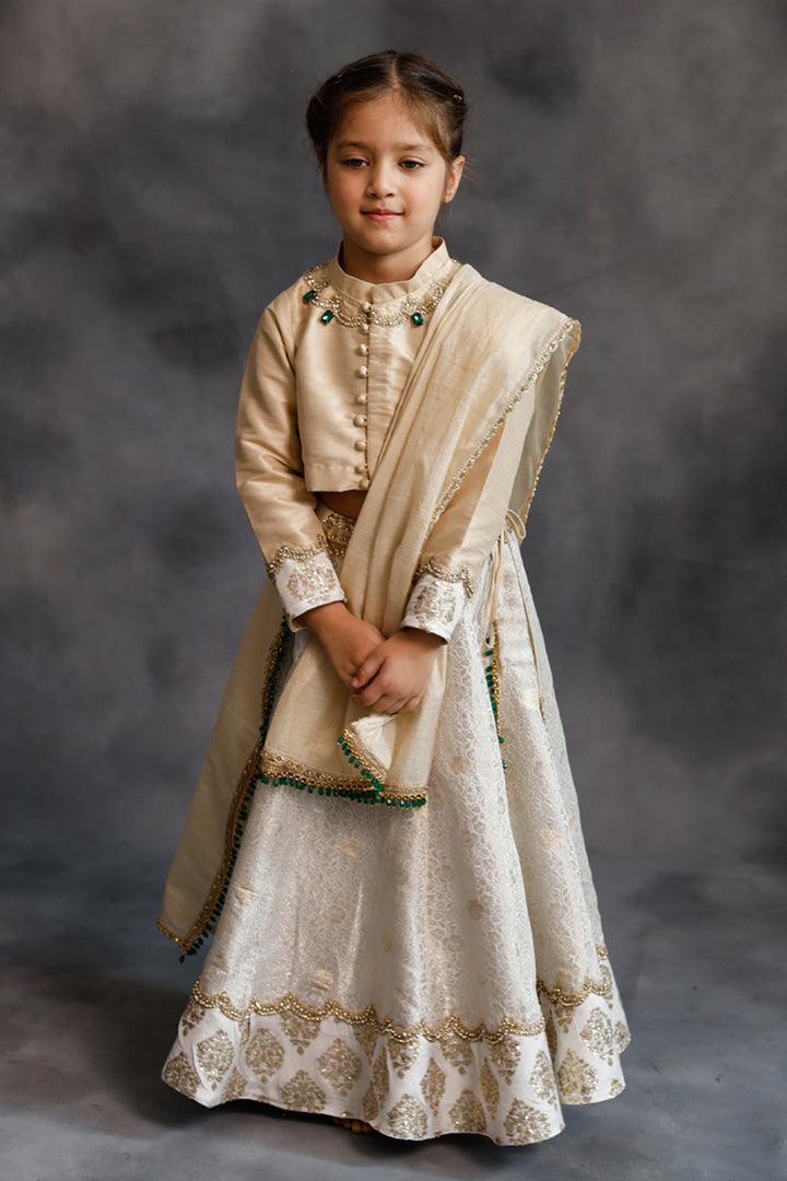 Ivory & Gold Lehenga Set
