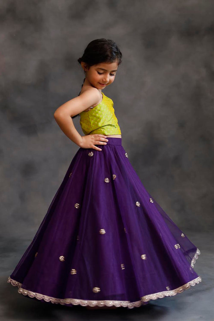 Lime Green and Purple Lehenga Set