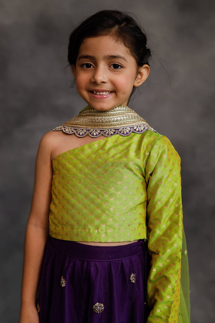 Lime Green and Purple Lehenga Set