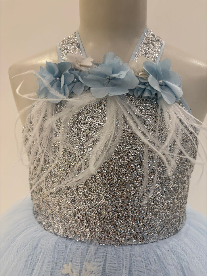 The Blue Frozen Theme Birthday Dress