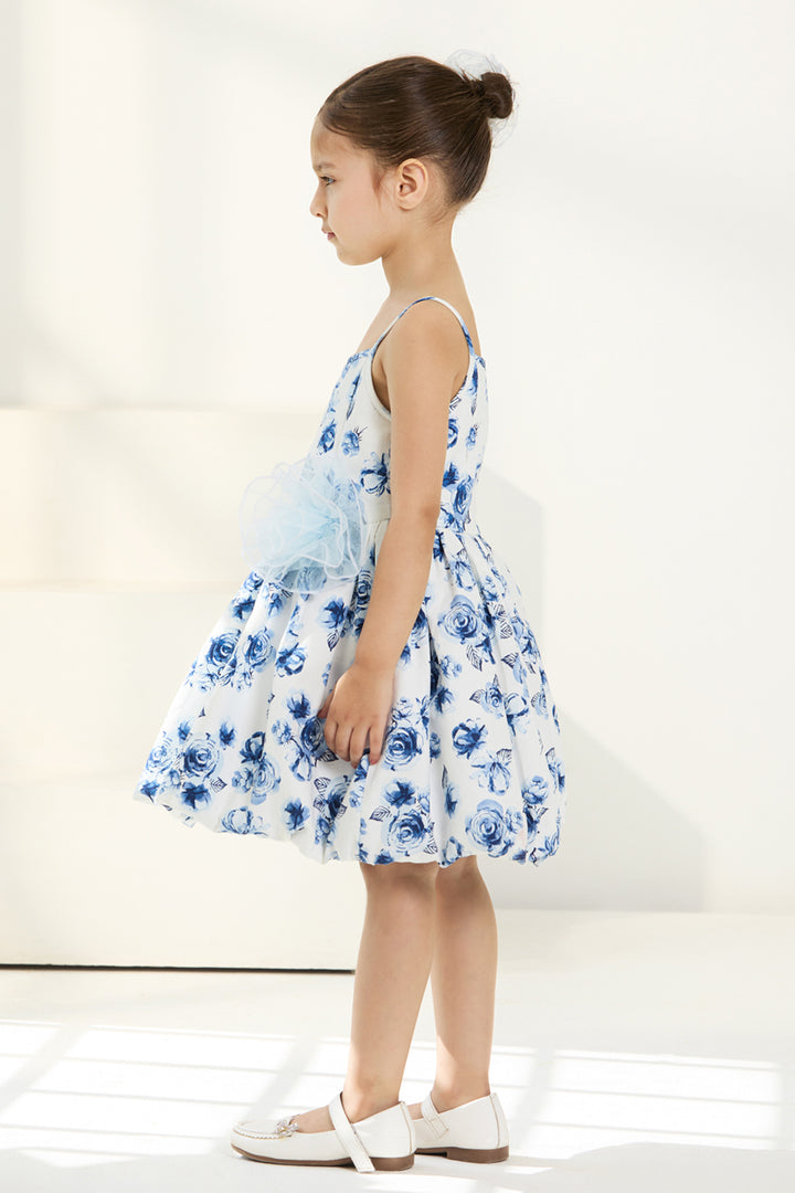 The Blue Rose Balloon Dress