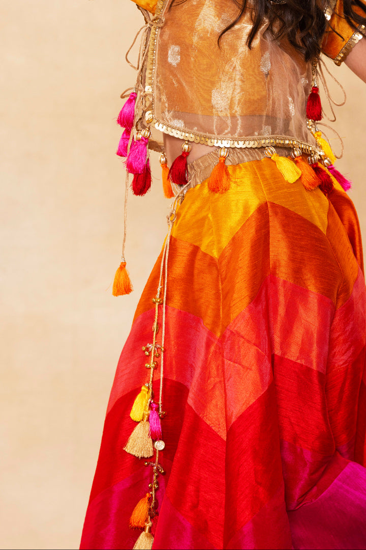 Rang-Rani Ombre Lehenga With Jacket Set