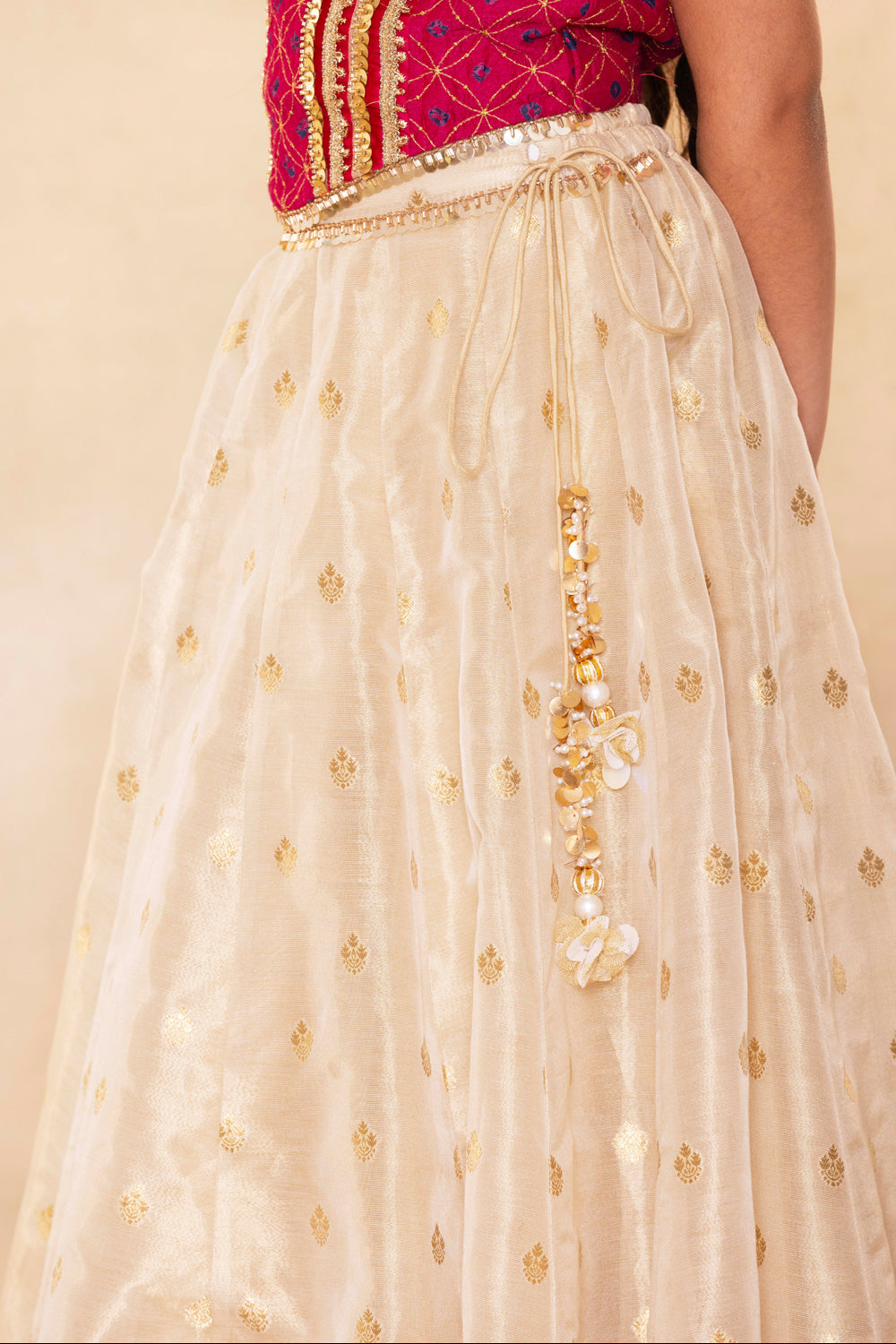 Fuchsia Corset Blouse With Embellished Cape and Gold Tissue Lehenga Set