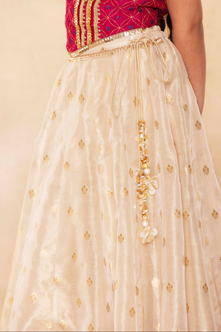 Fuchsia Corset Blouse With Embellished Cape and Gold Tissue Lehenga Set