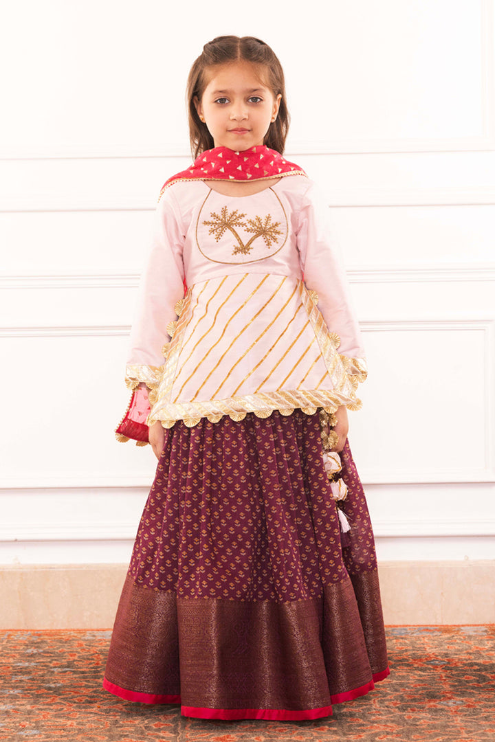 Blush Pink Embellished Blouse With Royal Plum Lehenga Set