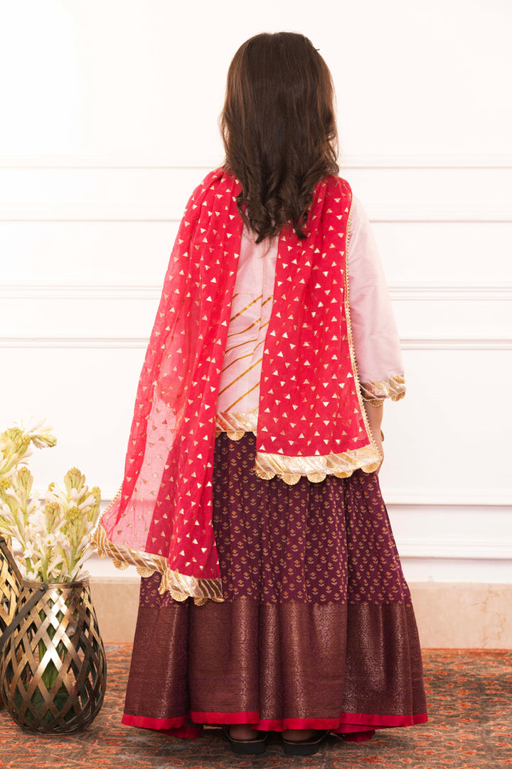Blush Pink Embellished Blouse With Royal Plum Lehenga Set