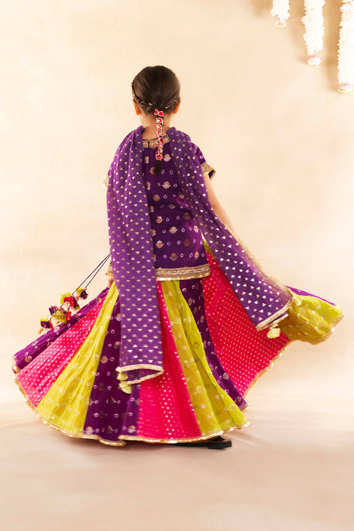 Purple Banarsi Bootie With Blouse With Lehenga Set