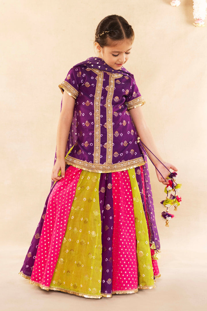 Purple Banarsi Bootie With Blouse With Lehenga Set