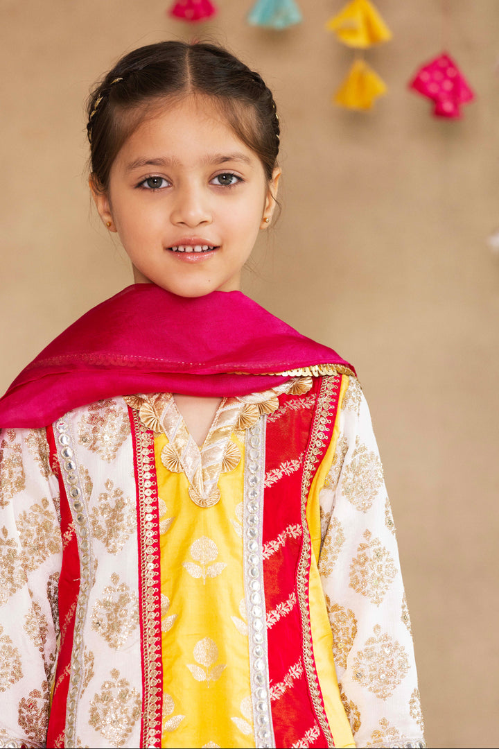 Multi Panelled Kurta With Tulip Salwar & Dupatta Set