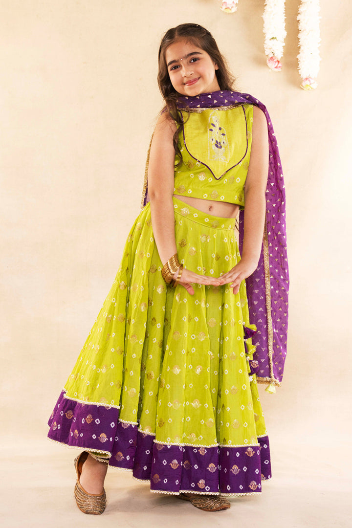Mughal Motif Lime Green Blouse With Lime Green Lehenga Set