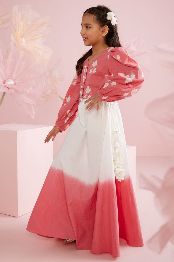 Shaded Skirt & Pink Printed Blouse Set