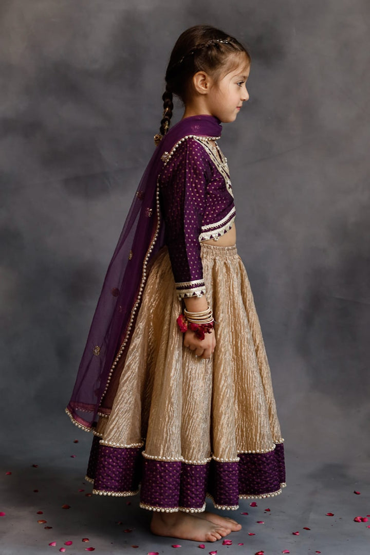 Purple Blouse & Gold Tissue Lehenga Set – Purple Kids Lehenga Set | PNK – Isha Arora India
