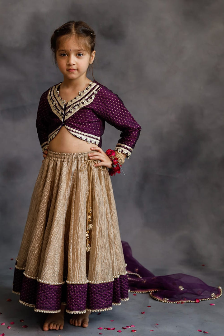 Purple Blouse & Gold Tissue Lehenga Set – Purple Kids Lehenga Set | PNK – Isha Arora India