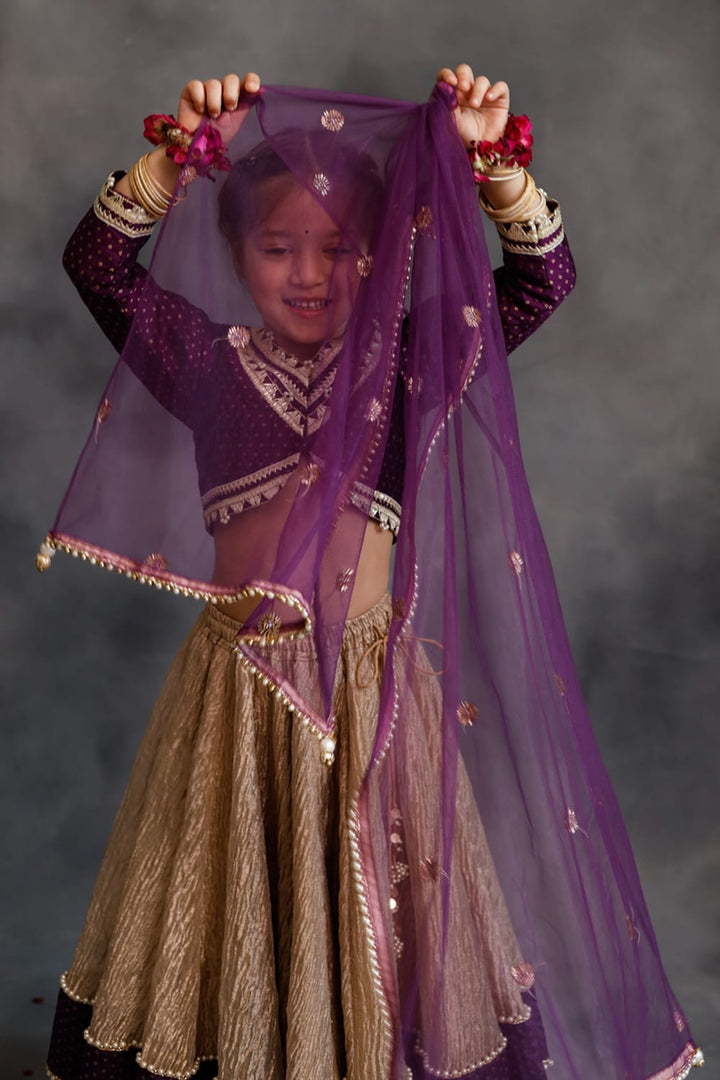 Purple Blouse & Gold Tissue Lehenga Set – Purple Kids Lehenga Set | PNK – Isha Arora India