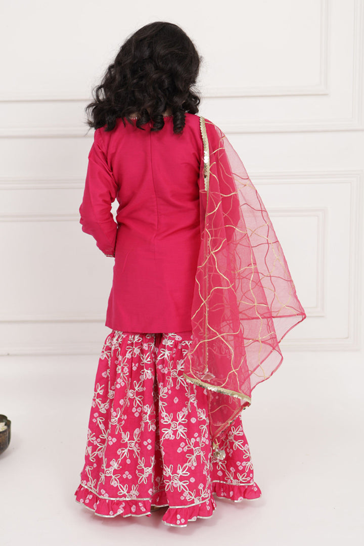 Rani Pink Gharara Set