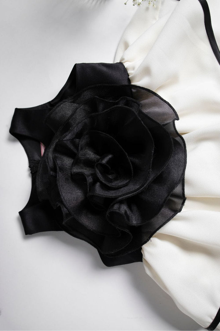 Black Rose Dress – Black Designer Dress for Girls | PNK – Isha Arora India