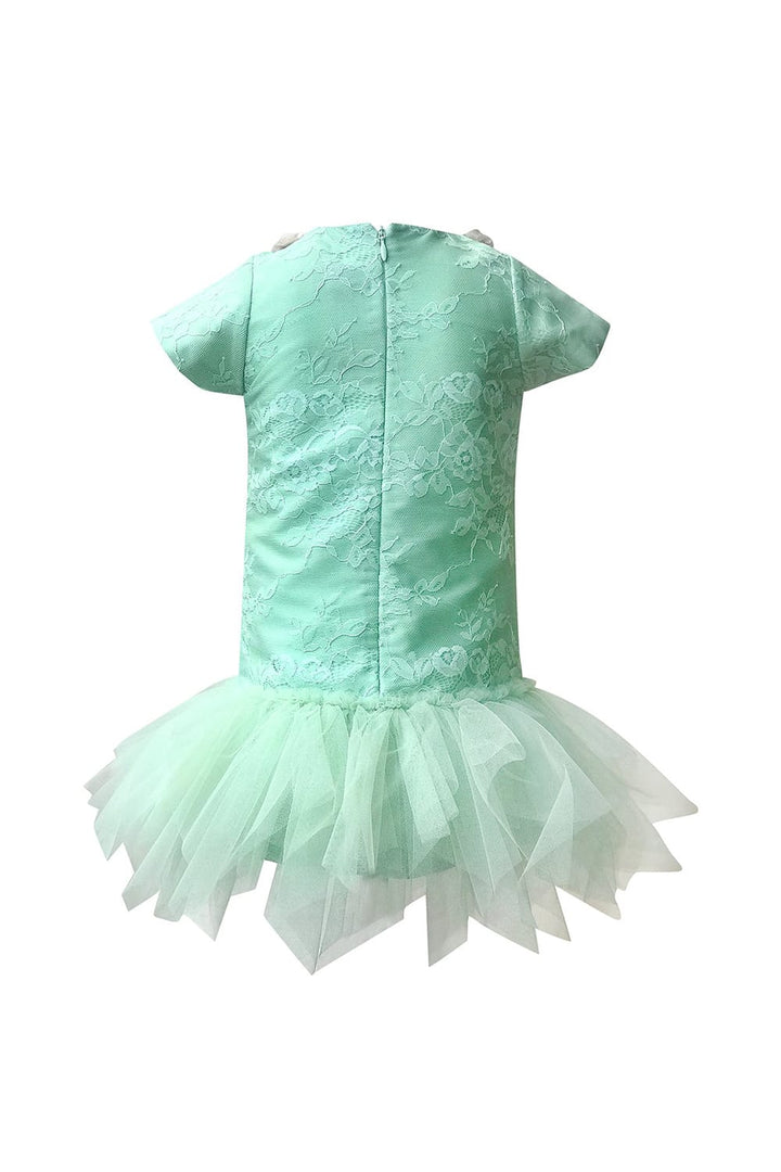 Mint Green Overlay Dress – Green Designer Dress for Girls | PNK – Isha Arora India