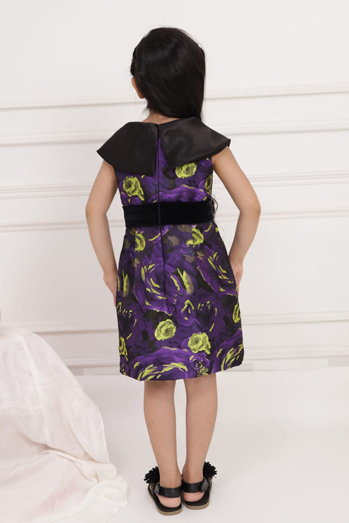 Purple Dress with Black Collar – Black Designer Dress for Girls | PNK – Isha Arora India